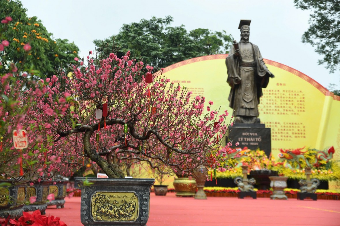 Khai mạc Không gian hoa xuân quy mô lớn nhất Hà Nội