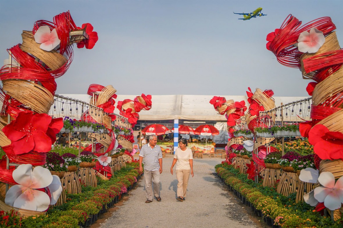 Rực rỡ Xuân phương Nam