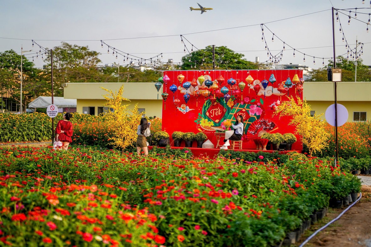 Rực rỡ Xuân phương Nam