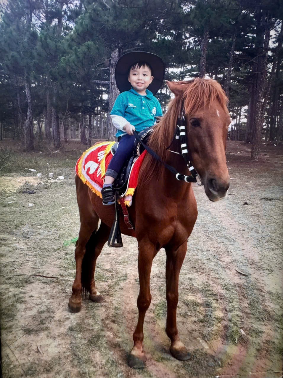 Ngựa - Linh vật của những cuộc lên đường