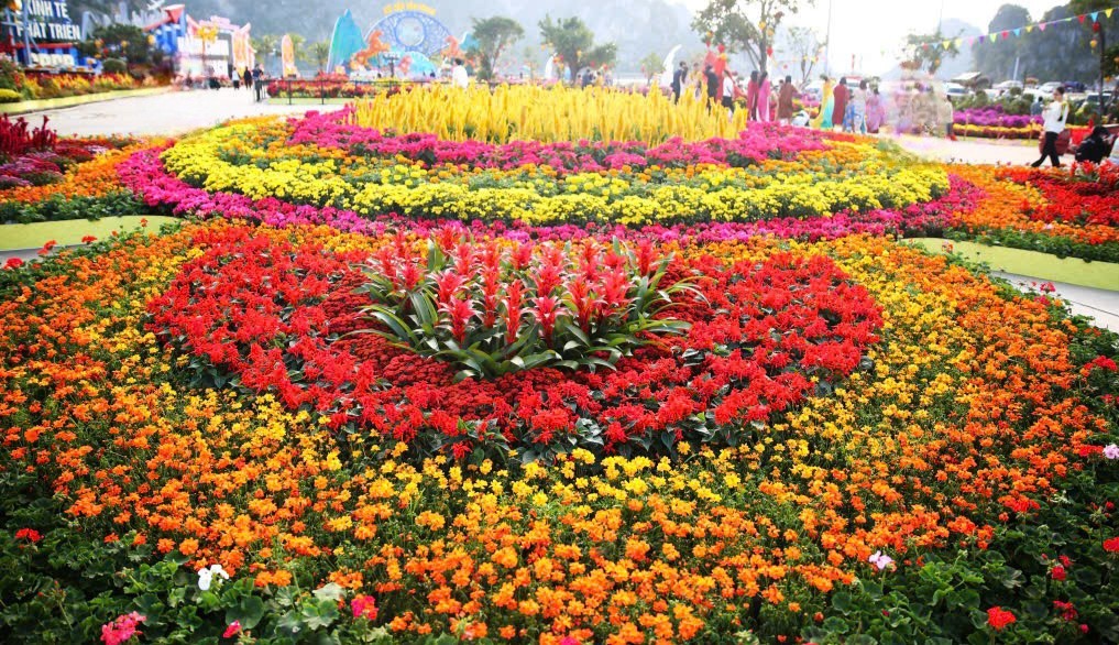 Quảng Ninh khai mạc Đại lộ hoa và công nghệ ánh sáng “Xuân di sản - Kỳ quan số”