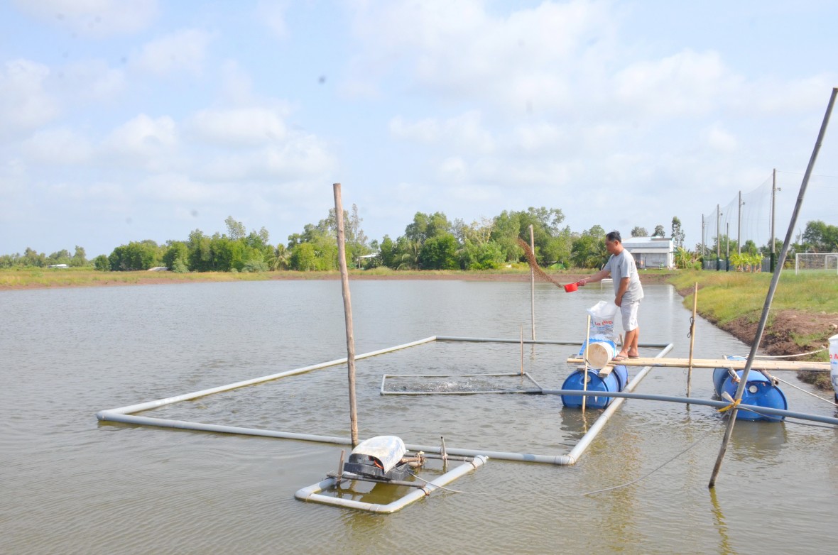 Xã Định Thành (Cà Mau): Kinh tế – xã hội bứt phá, tạo nền tảng phát triển bền vững trong không gian mới