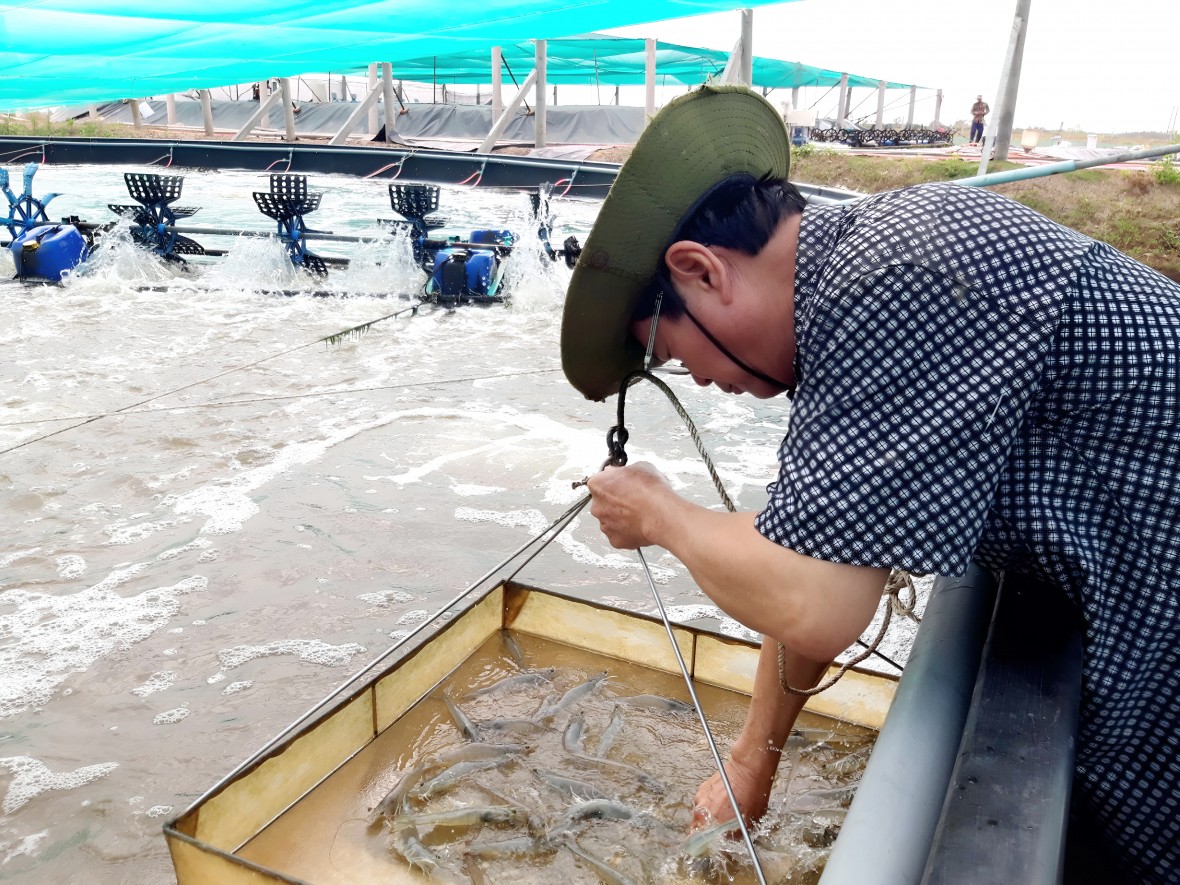 Xã Định Thành (Cà Mau): Kinh tế – xã hội bứt phá, tạo nền tảng phát triển bền vững trong không gian mới