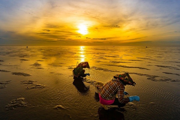 Du xuân trên miền biển vô cực …