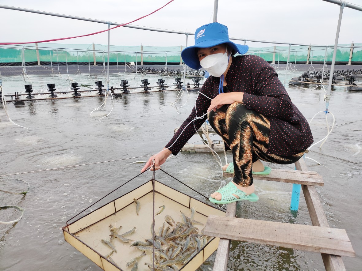 Xã Đông Hải (Cà Mau): Vận hành chính quyền hai cấp hiệu quả, mở đường cho phát triển bền vững