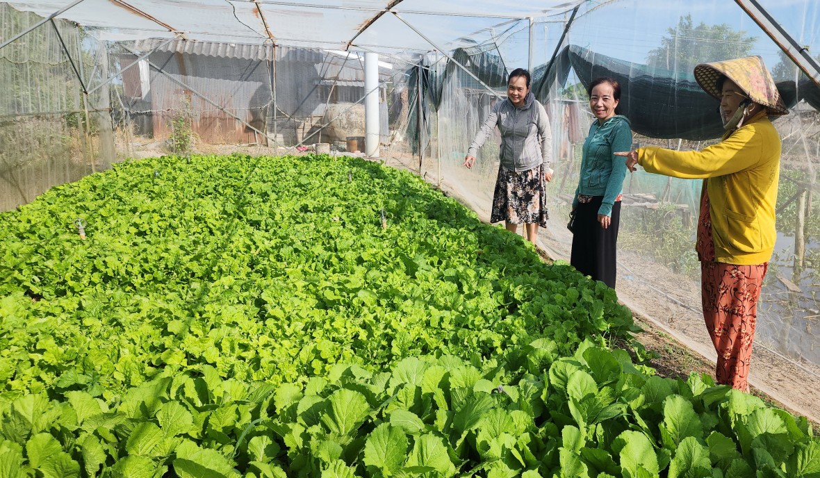 Xã U Minh (Cà Mau): Nỗ lực vượt khó, hoàn thành và vượt nhiều chỉ tiêu Nghị quyết năm 2025