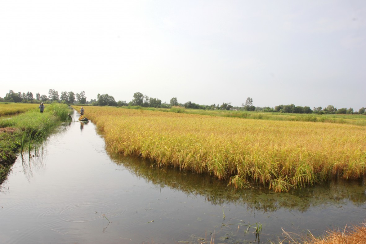 Xã U Minh (Cà Mau): Nỗ lực vượt khó, hoàn thành và vượt nhiều chỉ tiêu Nghị quyết năm 2025