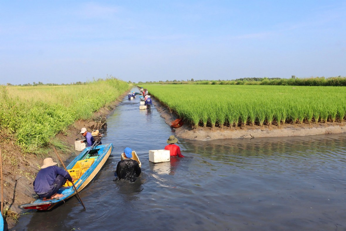 Xã U Minh (Cà Mau): Nỗ lực vượt khó, hoàn thành và vượt nhiều chỉ tiêu Nghị quyết năm 2025
