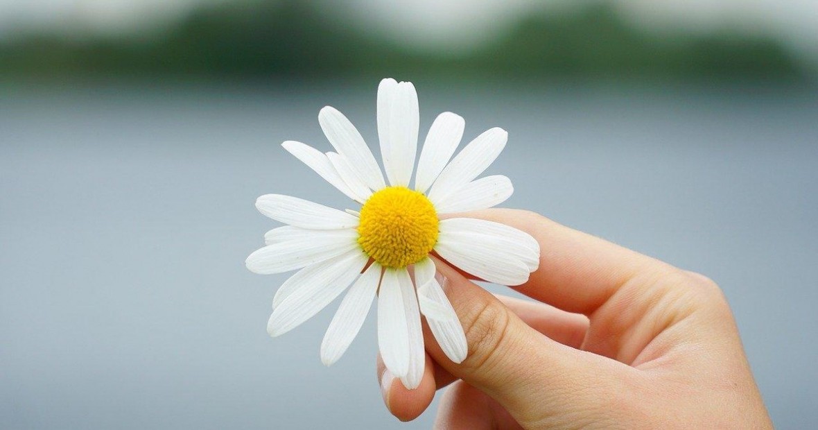 Nửa đời còn lại: Học chữ Buông!