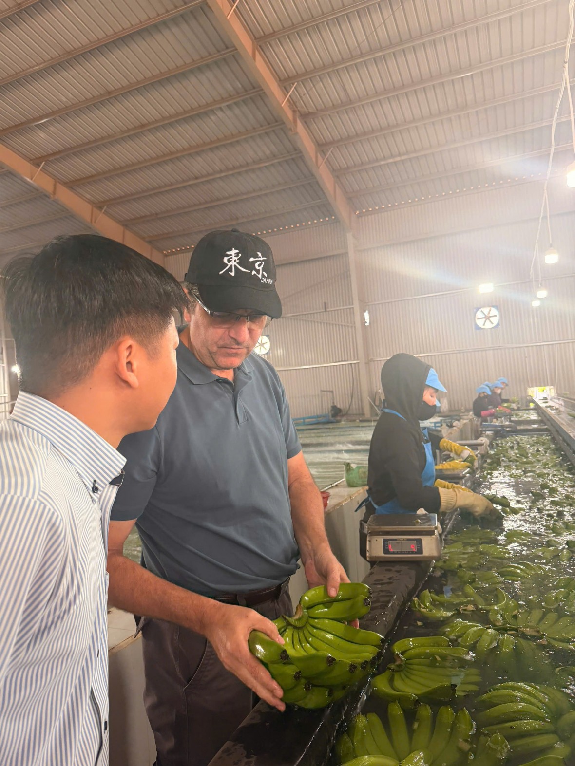 Tái định vị nông nghiệp trong mô hình tăng trưởng vùng Đông Nam Bộ