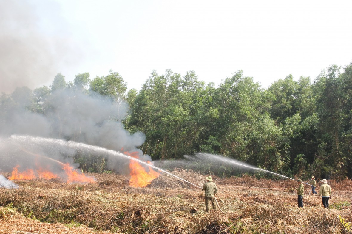 Giữ vững “lá phổi xanh” U Minh Hạ - tạo đà phát triển bền vững Giữ vững “lá phổi xanh” U Minh Hạ - tạo đà phát triển bền vững