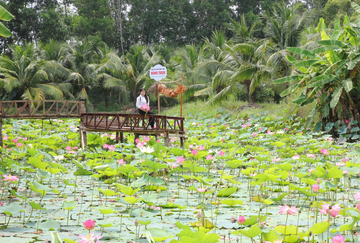 Giữ vững “lá phổi xanh” U Minh Hạ - tạo đà phát triển bền vững Giữ vững “lá phổi xanh” U Minh Hạ - tạo đà phát triển bền vững