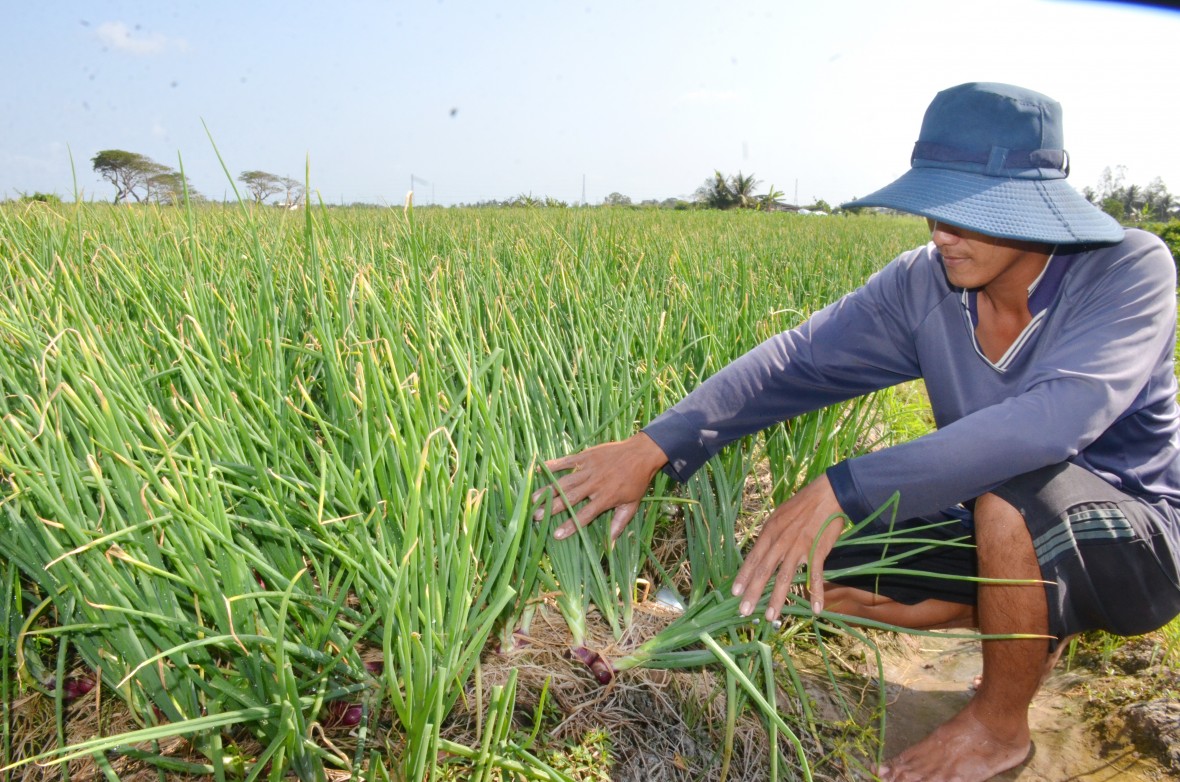 Phường Hiệp Thành (Cà Mau) bứt phá toàn diện năm 2025, tạo đà cho giai đoạn phát triển mới