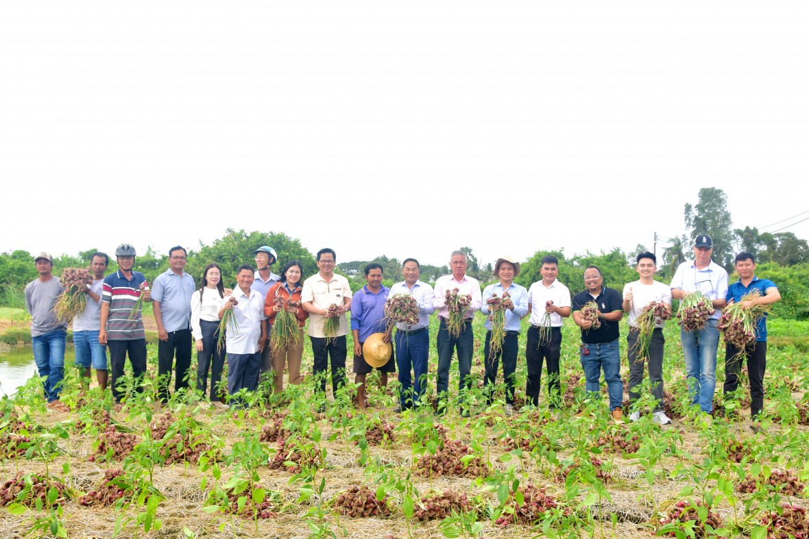 Phường Hiệp Thành (Cà Mau) bứt phá toàn diện năm 2025, tạo đà cho giai đoạn phát triển mới