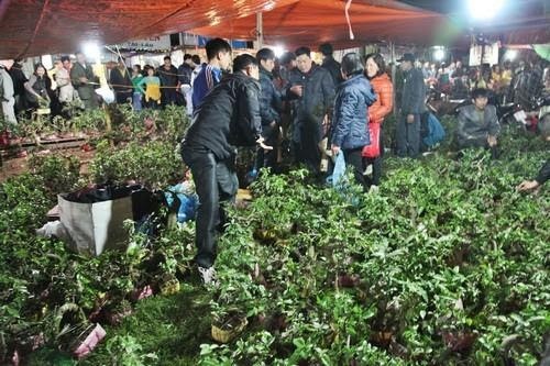 Cây cảnh là mặt hàng không thể thiếu tại chợ Viềng