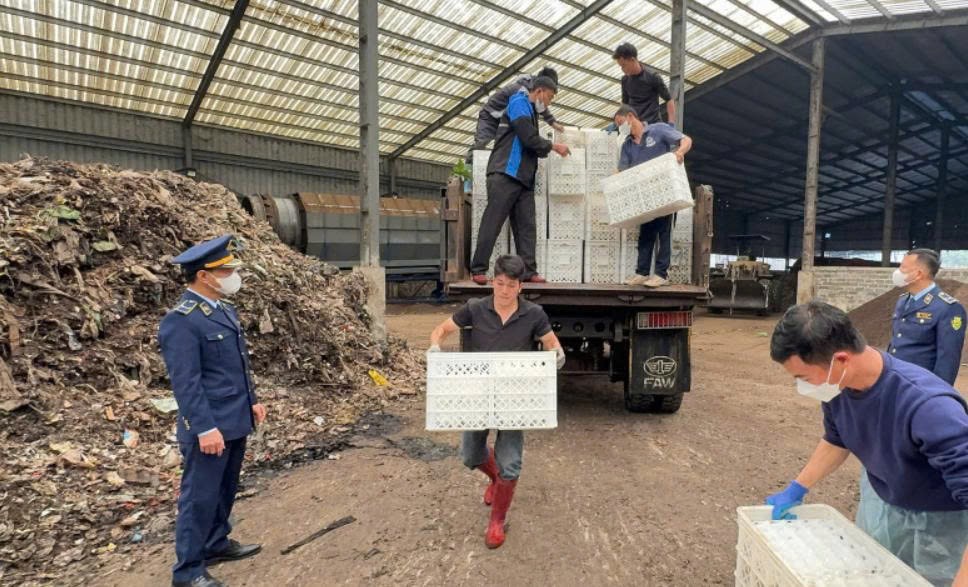 Lực lượng chức năng tiêu huỷ toàn bộ số trứng gia cầm bắt giữ.