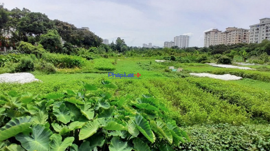 Hà Nội giao 7.452,7m² đất tại xã Thanh Trì cho Công ty Fortune xây dựng nhà ở thấp tầng Hà Nội giao 7.452,7m² đất tại xã Thanh Trì cho Công ty Fortune xây dựng nhà ở thấp tầng
