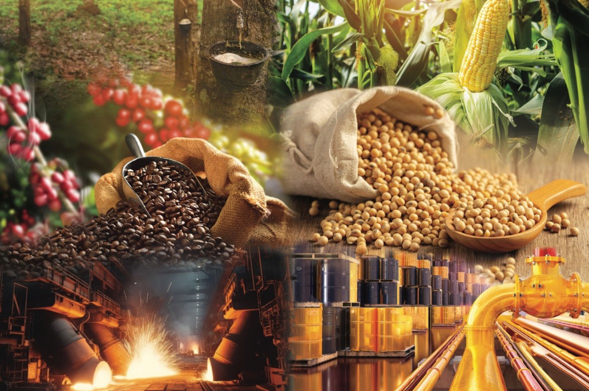 Xuất khẩu bền vững: Không thể duy trì tư duy một sản phẩm cho mọi thị trường Xuất khẩu bền vững: Không thể duy trì tư duy một sản phẩm cho mọi thị trường