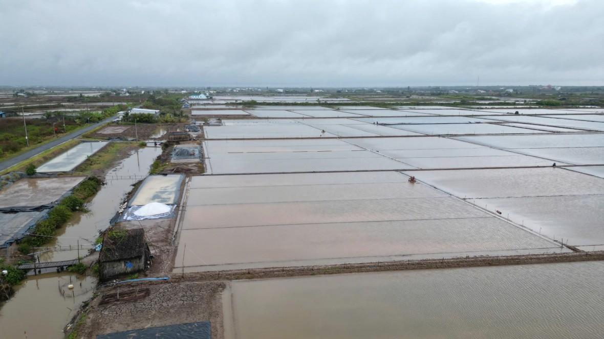 Mưa trái mùa gây thiệt hại 100% diện tích muối tại xã Đông Hải - Cà Mau