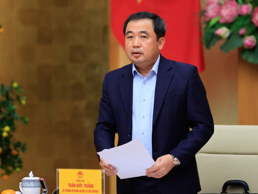 Thủ tướng yêu cầu vừa phát triển ngành thủy sản bền vững, vừa gỡ thẻ vàng IUU