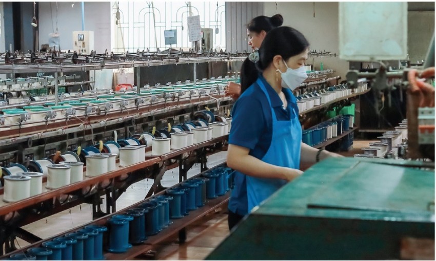 Tơ tằm Á Châu bị xử phạt do vi phạm chứng khoán