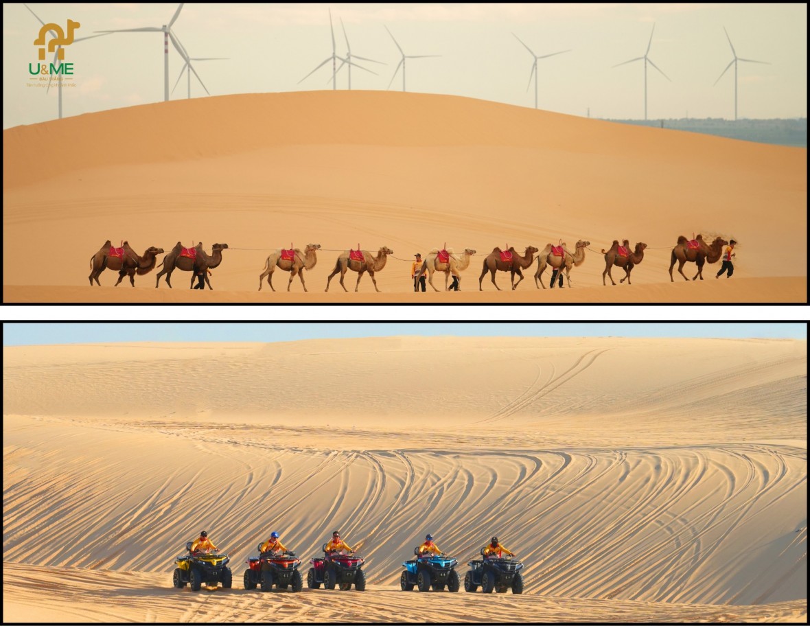 Lâm Đồng: Xã Hòa Thắng bứt tốc từ ba mũi nhọn phát triển