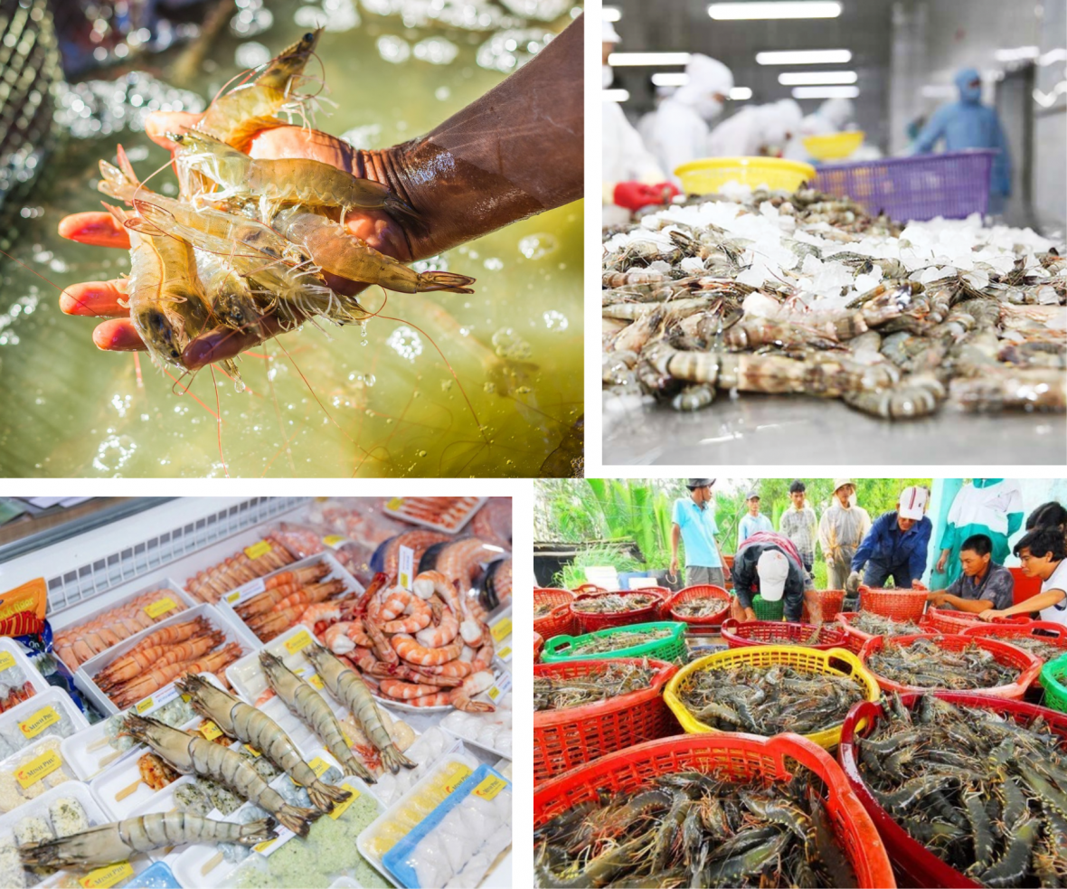 Ngành tôm Việt Nam cần tận dụng tốt cơ hội tại các thị trường châu Á Ngành tôm Việt Nam cần tận dụng tốt cơ hội tại các thị trường châu Á