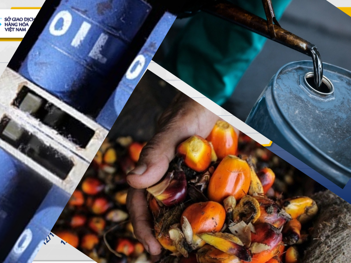 Thị trường năng lượng ‘bùng nổ’, giá dầu thu hẹp về cuối phiên