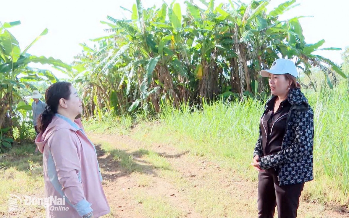 Nữ Chủ tịch xã Đak Lua: Hành trình 170km của trái tim hướng về nhân dân