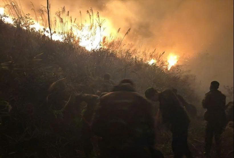 Hiện trường vụ cháy rừng.