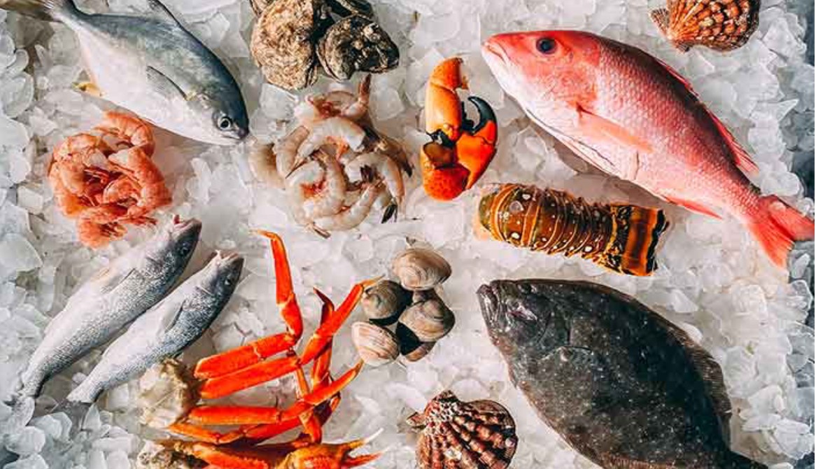 Lộ trình bắt buộc để bảo vệ vị thế thủy sản Việt Lộ trình bắt buộc để bảo vệ vị thế thủy sản Việt