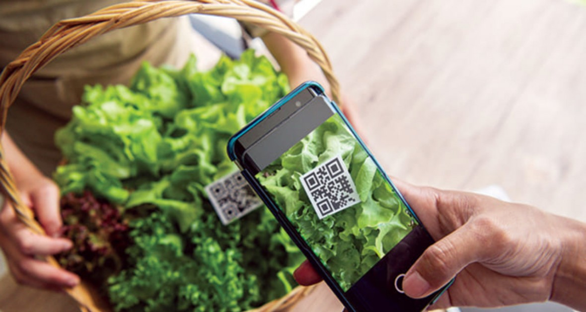 Chuẩn hóa dữ liệu truy xuất nguồn gốc nông sản xuất khẩu Chuẩn hóa dữ liệu truy xuất nguồn gốc nông sản xuất khẩu