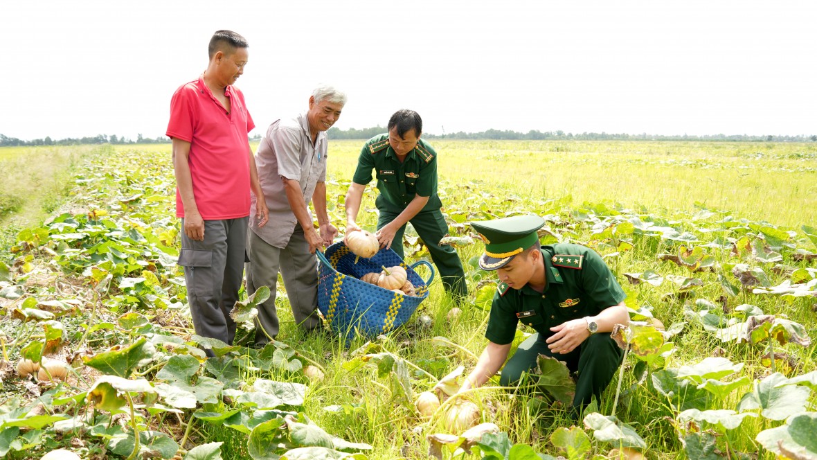 BĐBP Cà Mau hỗ trợ tiêu thụ bí đỏ, tiếp sức nông dân vượt khó