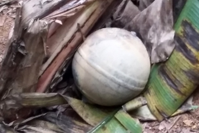 Vật thể lạ rơi tại Y&ecirc;n B&aacute;i, Tuy&ecirc;n Quang được l&agrave;m bằng nh&ocirc;m hợp kim v&agrave; kh&ocirc;ng c&oacute; chất nổ k&egrave;m theo.