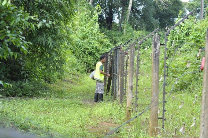 VQG C&aacute;t Ti&ecirc;n l&agrave; khu vực rừng c&oacute; đa dạng sinh học cao.