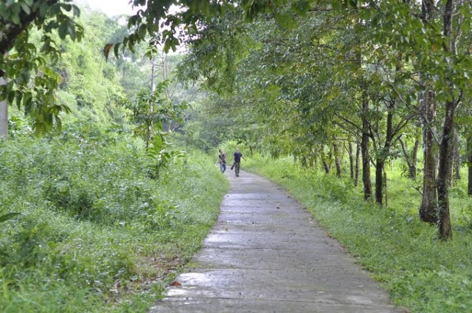 Dự &aacute;n đường giao th&ocirc;ng trong v&ugrave;ng l&otilde;i VQG C&aacute;t Ti&ecirc;n.