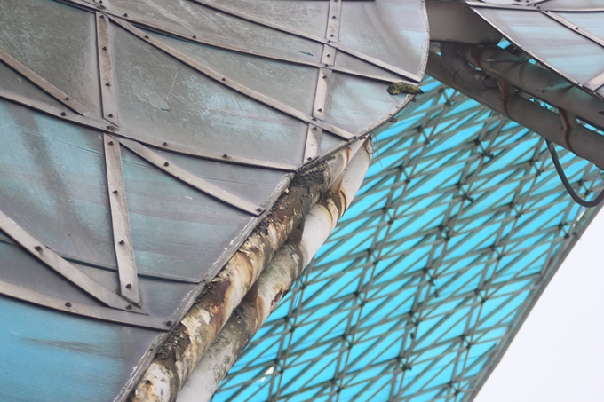 Được đầu tư x&acirc;y dựng tr&ecirc;n diện t&iacute;ch 47ha với số vốn gần trăm tỉ đồng, đến nay, to&agrave;n bộ mặt bằng khu I (diện t&iacute;ch 13ha) của TTHCTLQT Hải Ph&ograve;ng đ&atilde; ho&agrave;n th&agrave;nh x&acirc;y dựng cơ bản. Trong đ&oacute;, t&ograve;a nh&agrave; c&aacute;nh diều rộng 8.000m2 được kỳ vọng sẽ trở th&agrave;nh địa điểm l&yacute; tưởng để tổ chức c&aacute;c sự kiện, thu h&uacute;t đầu tư v&agrave; c&aacute;c hoạt động thương mại, dịch vụ kh&aacute;c. Nhưng đến nay, những h&igrave;nh ảnh n&agrave;y khiến nhiều người kh&ocirc;ng khỏi thắc mắc về t&iacute;nh hiệu quả của c&ocirc;ng tr&igrave;nh.