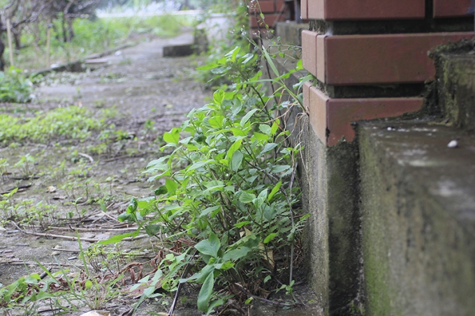 Hải Ph&ograve;ng: Trung t&acirc;m hội chợ