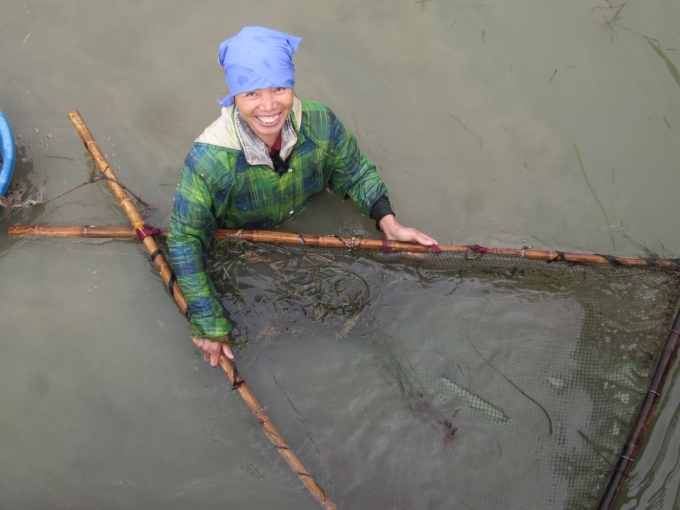 Đ&acirc;y l&agrave; chiếc nhủn, dụng cụ để đ&aacute;nh t&eacute;p.