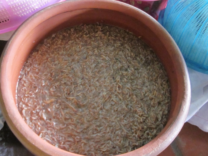 Vại t&eacute;p thơm ngon trước khi được đ&oacute;ng v&agrave;o chai, lọ.