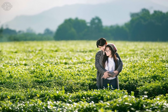 Thả hồn tr&ecirc;n rừng xanh bạt ng&agrave;n.