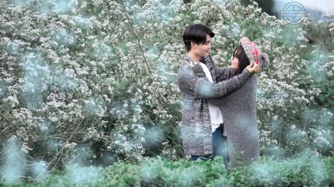 T&igrave;nh bạn lu&ocirc;n l&agrave; cao qu&yacute; v&agrave; đẹp nhất.