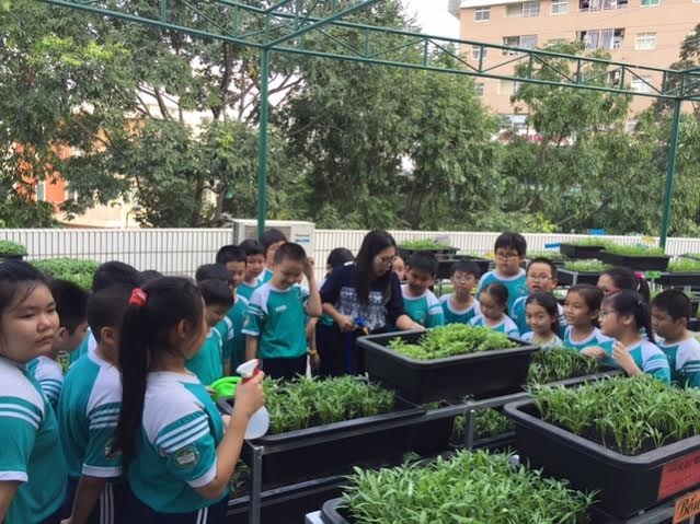 Vườn rau th&acirc;n thiện kh&ocirc;ng những hỗ trợ c&aacute;c m&ocirc;n học nh&agrave; trường như kỹ thuật, tự nhi&ecirc;n x&atilde; hội, tập l&agrave;m văn.