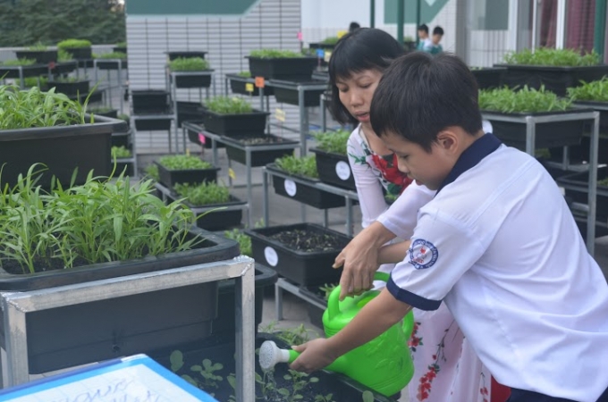 Vườn rau như l&agrave; s&acirc;n chơi cho những b&eacute; tập l&agrave;m quen với cuộc sống đời thường.