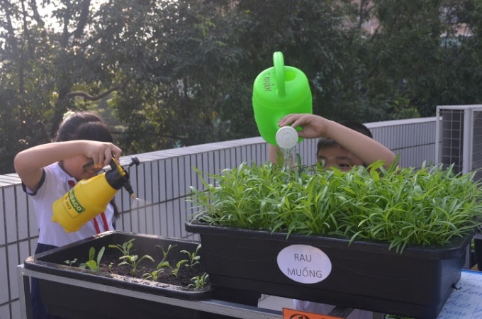 Những giờ ra chơi, c&aacute;c b&eacute; c&oacute; thể tham gia vận động bằng việc tưới nước cho vườn rau.