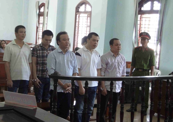 C&aacute;c bị c&aacute;o trước v&agrave;nh m&oacute;ng ngựa.