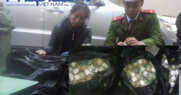 Hà Nội: Bắt khẩn cấp kẻ vận chuyển gần 800 quả pháo khủng