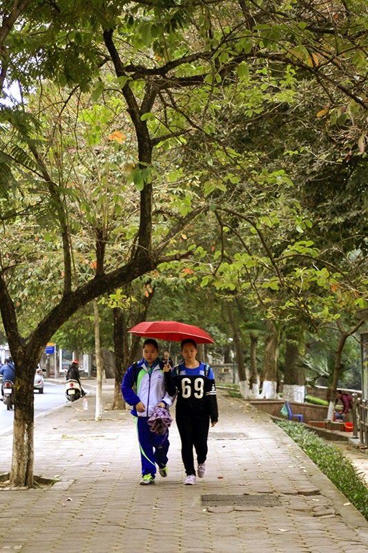 H&agrave;ng c&acirc;y n&agrave;y chỉ &iacute;t ng&agrave;y nữa sẽ