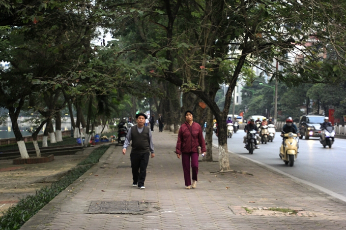 Với những người d&acirc;n thủ đ&ocirc;, những h&agrave;ng c&acirc;y n&agrave;y kh&ocirc;ng chỉ gắn b&oacute; h&agrave;ng ng&agrave;y m&agrave; c&ograve;n l&agrave; một n&eacute;t đặc trưng kh&ocirc;ng thể thiếu của thủ đ&ocirc; nhưng sắp tới chỉ c&ograve;n l&agrave;