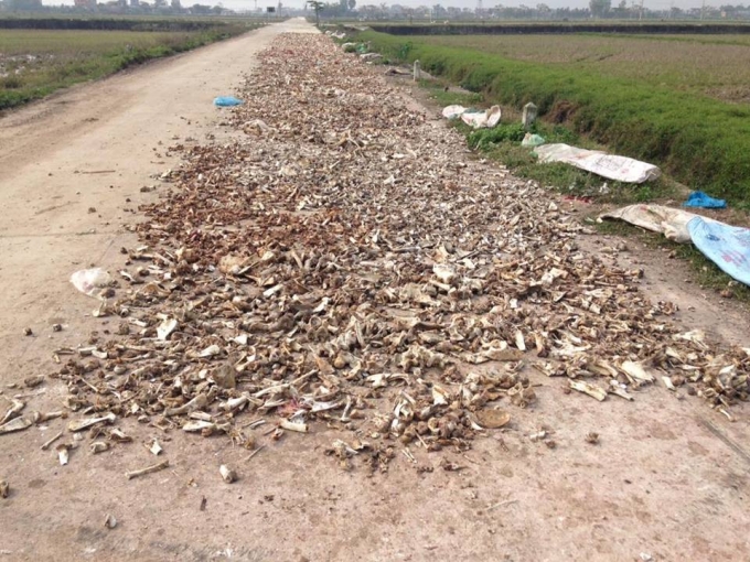 Nước thải đen ng&ograve;m v&agrave; bốc m&ugrave;i được người d&acirc;n đổ trực tiếp ra m&ocirc;i trường.